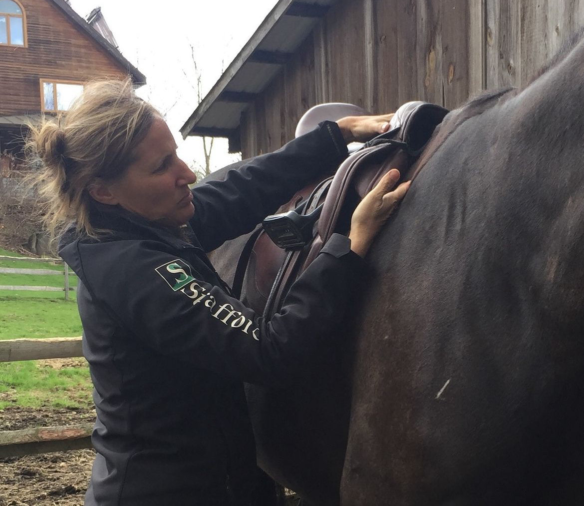 saddle fitting in new england, takt saddle fitter near me, vermont saddle fitter, equestrian